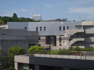 ズマロンf11