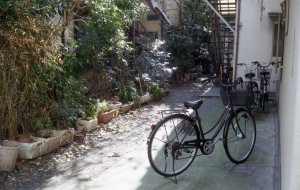 自転車のある庭