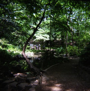 おとめ山の子供たち