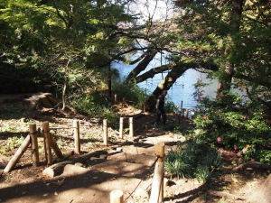 現在の井の頭池