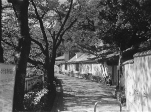 椿山荘の塀