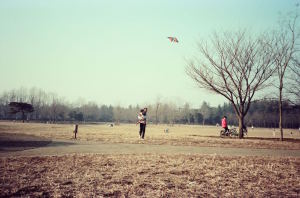 小金井公園で凧揚げ