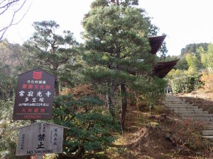 多宝塔案内板