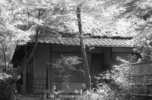 45年前の祇王寺草庵