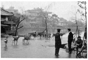 09猿沢池50年前