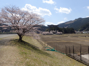 大斎原と堤防