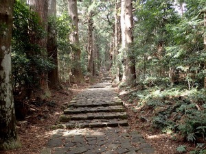 08熊野古道