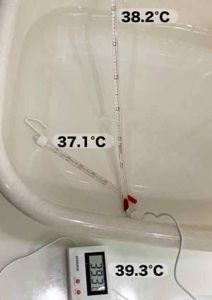 液温測定B