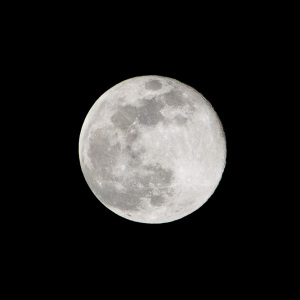 コールドムーン